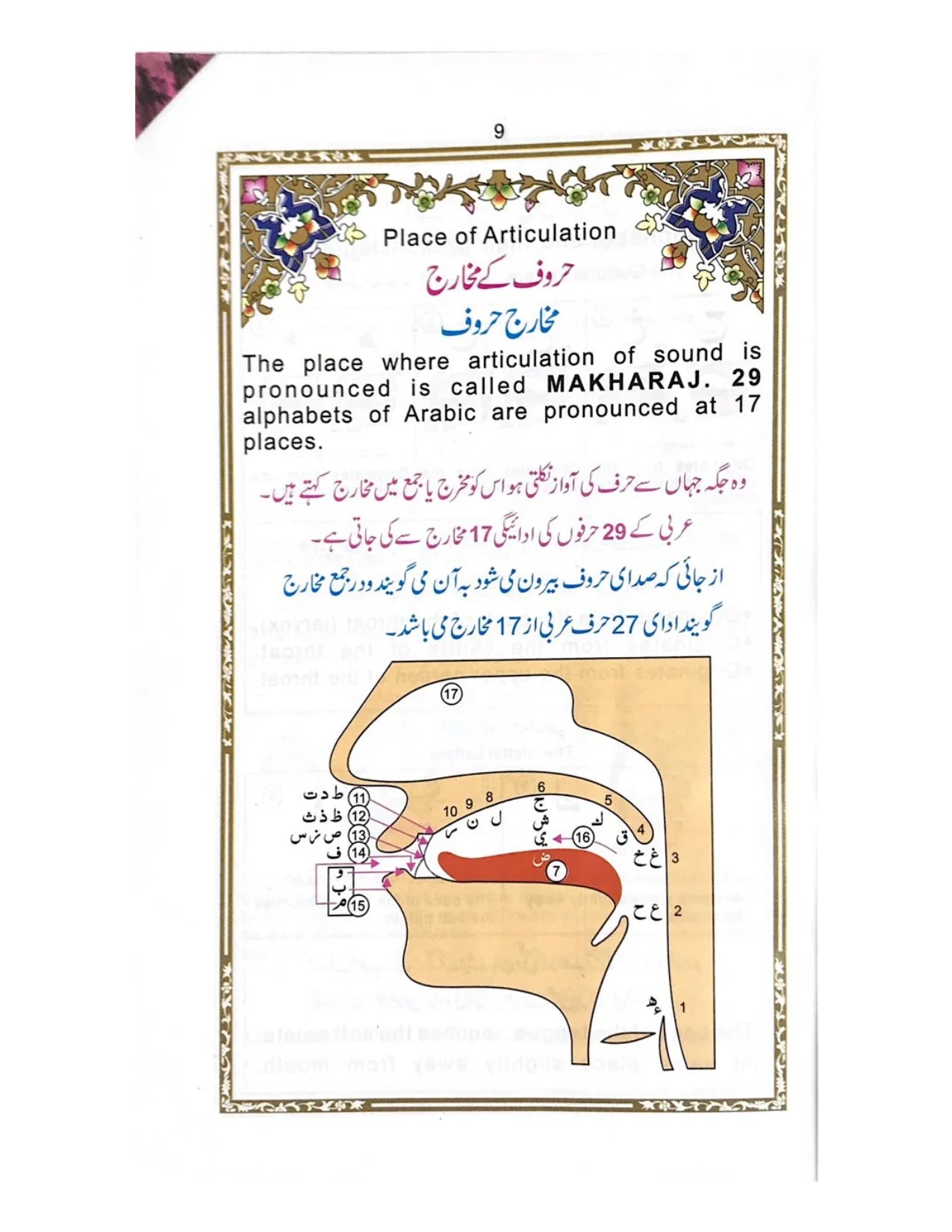 Holy Quran Colour Coded 15 line (Tajveedi)
