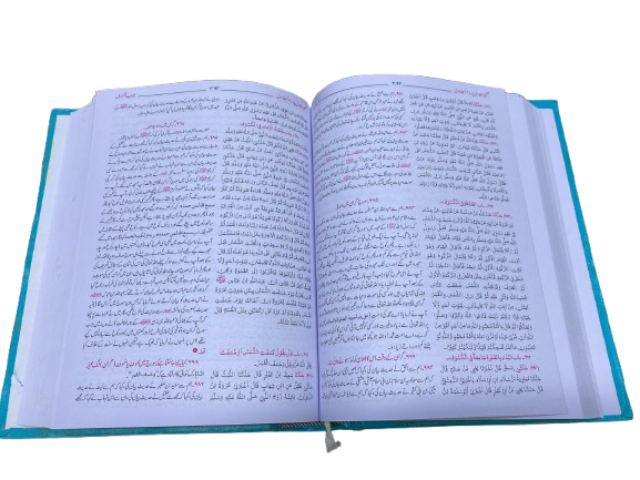 Fath al-Bari – 3 Volume Set | Sharh Sahih al-Bukhari (Urdu Translation)