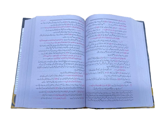 Rahmatul-Lil-Alamin ﷺ – Biography of the Prophet Muhammad