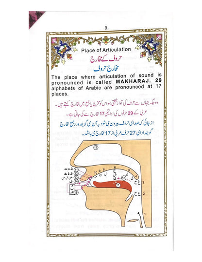 Holy Quran Colour Coded 15 line (Tajveedi)