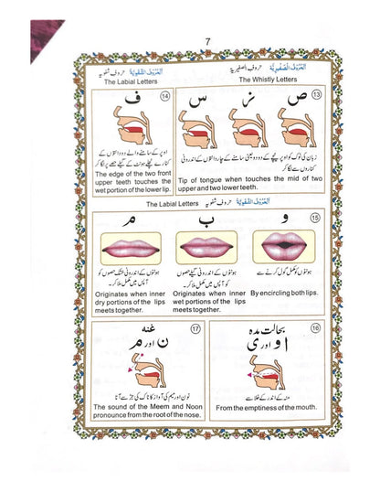 Holy Quran, Colour Coded 13 Line