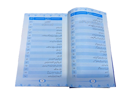 Aasan Fiqhi Masail – Simple Guide to Everyday Islamic Rulings